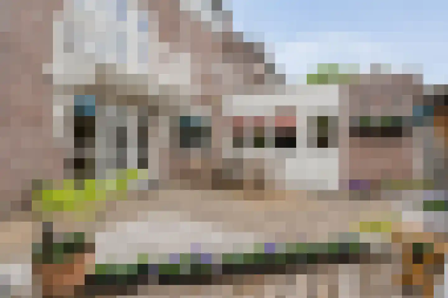 Rozemarijn 9 Raalte thumbnail 48