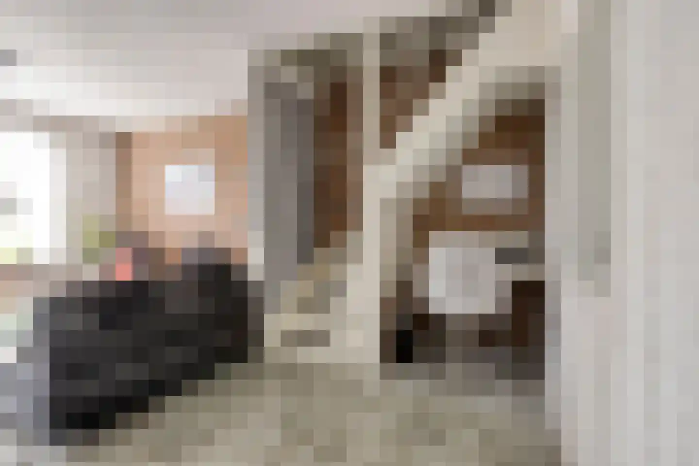 Rozemarijndonk 13 Spijkenisse thumbnail 12