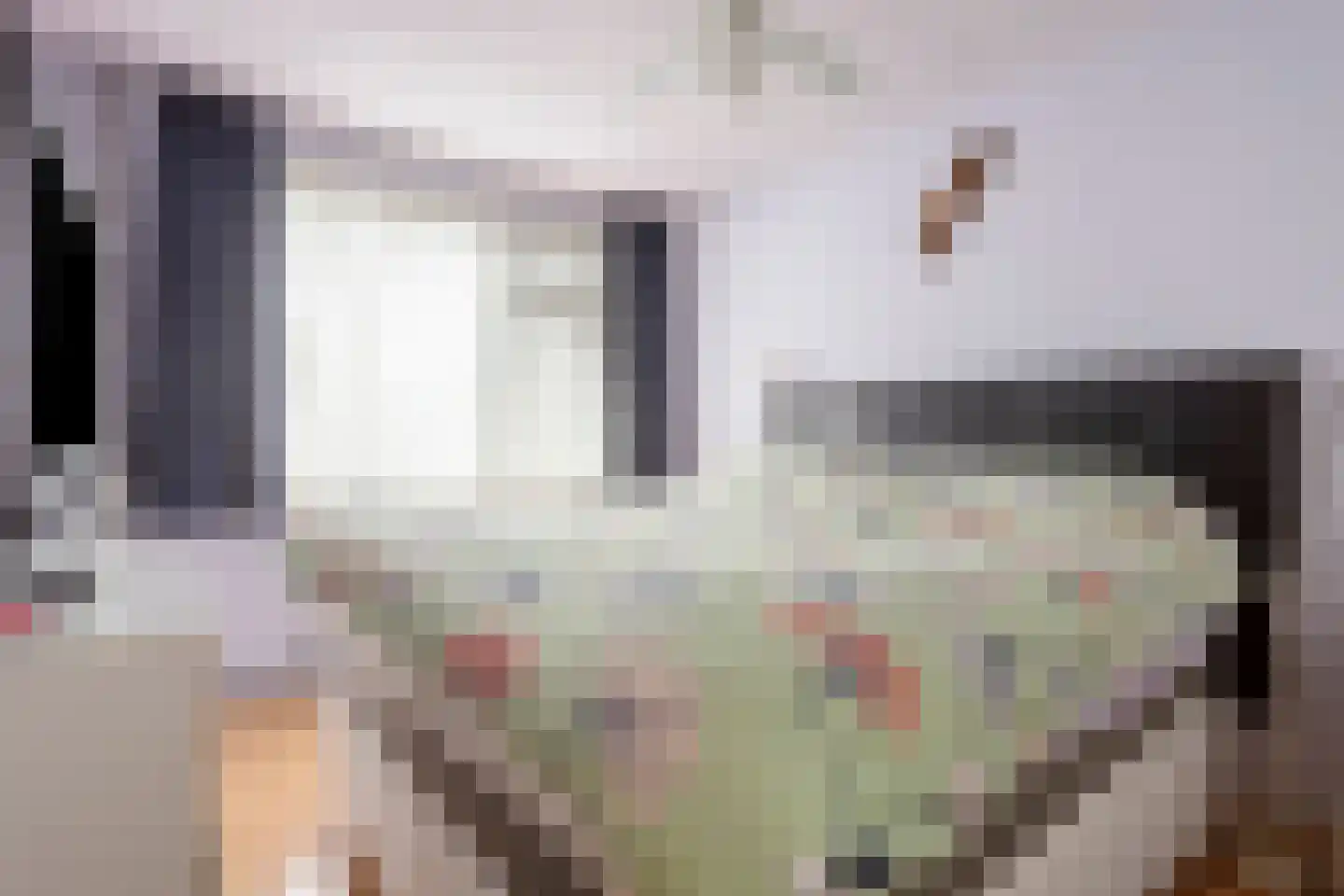 Rozemarijndonk 13 Spijkenisse thumbnail 15