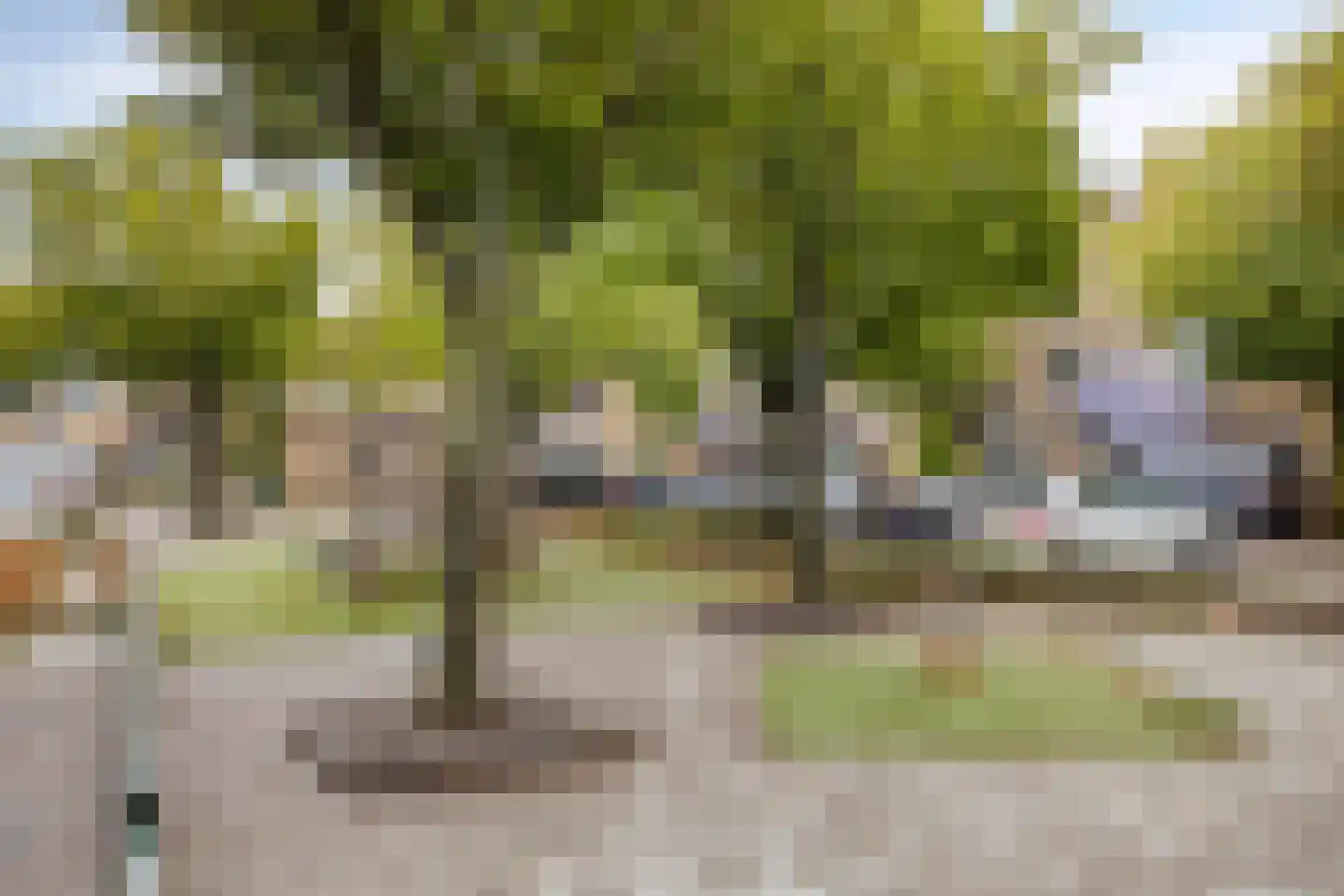 Rozemarijndonk 13 Spijkenisse thumbnail 23