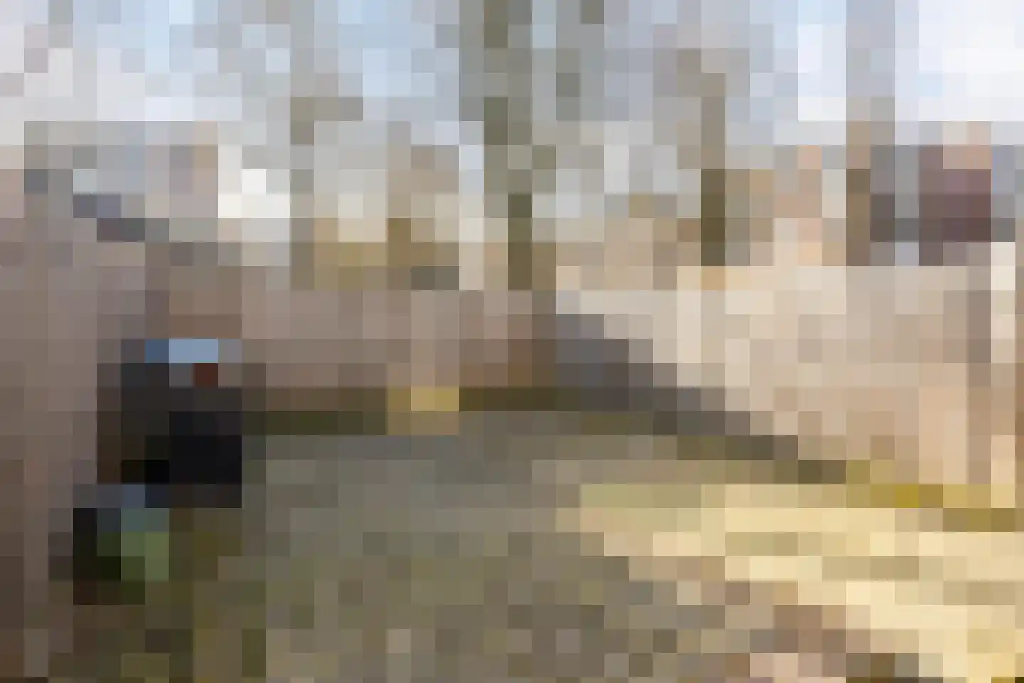 Rozemarijngaard 13 Heerlen thumbnail 32
