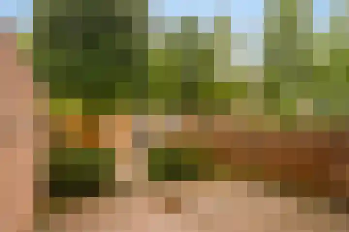 Rozemarijngaard 14 Heerlen thumbnail 21