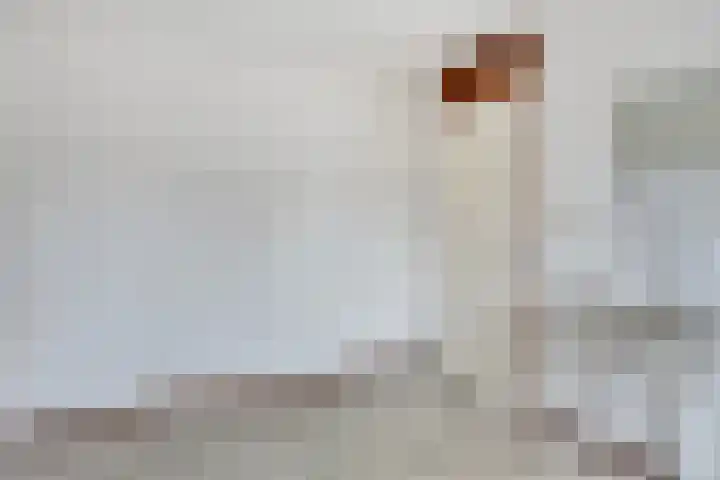 Rozemarijngaard 5 Heerlen thumbnail 20