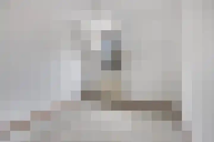 Rozemarijngaard 5 Heerlen thumbnail 25