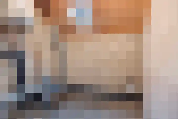 Rozemarijngaard 5 Heerlen thumbnail 27