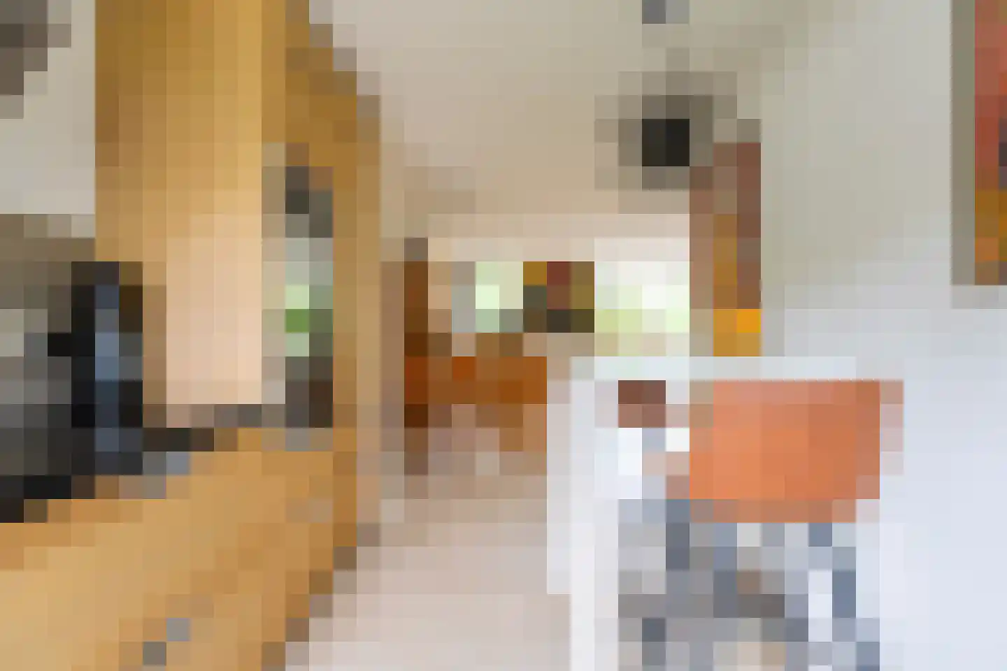Rozemarijnhof 14 Voorhout thumbnail 11