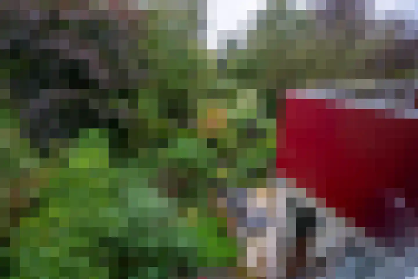 Rozemarijnhof 14 Voorhout thumbnail 21