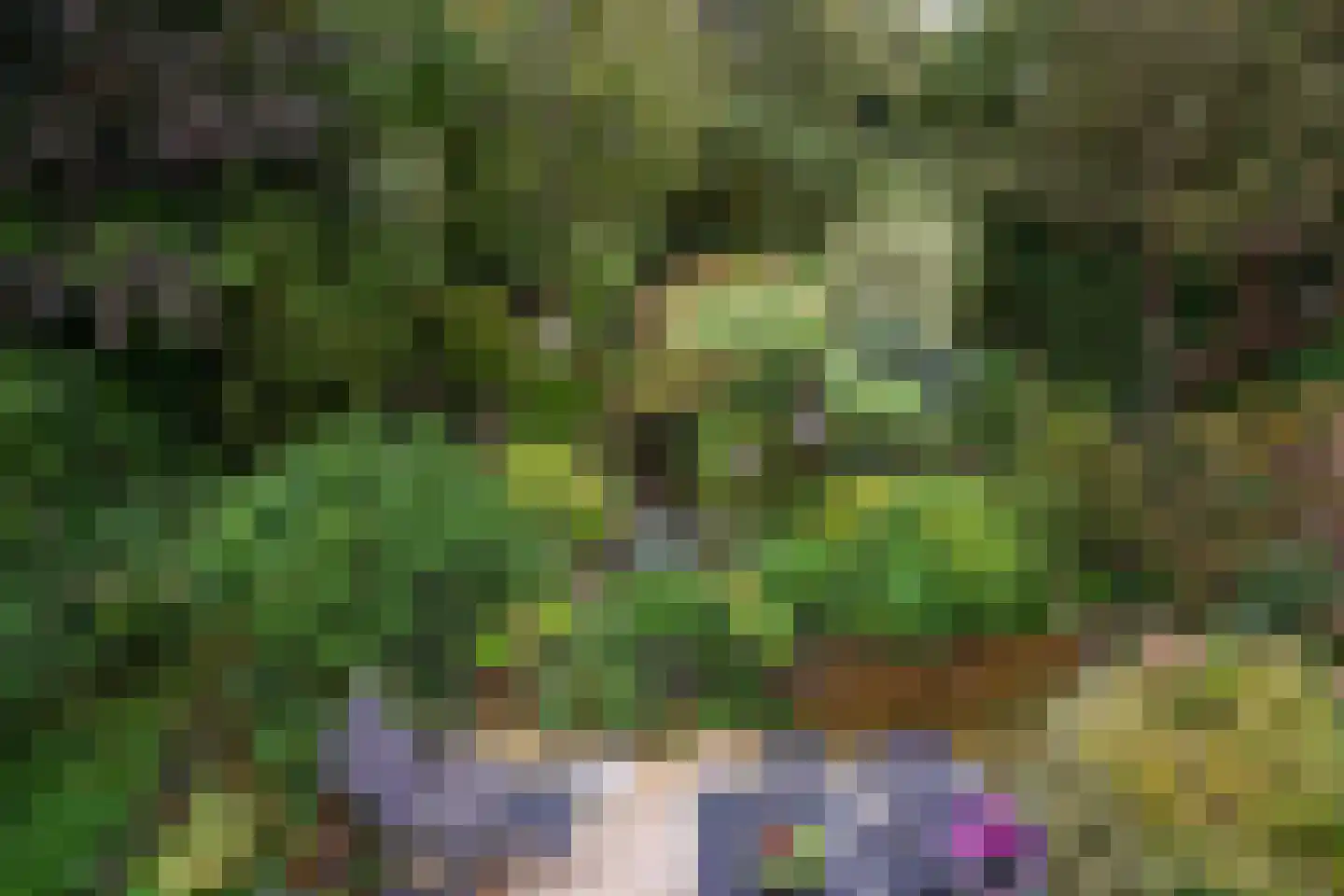 Rozemarijnhof 14 Voorhout thumbnail 23