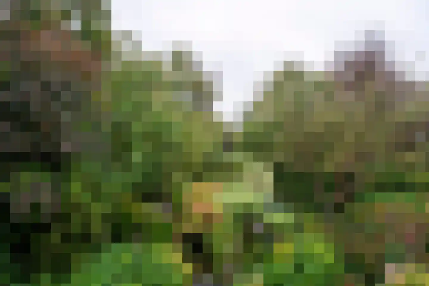 Rozemarijnhof 14 Voorhout thumbnail 24