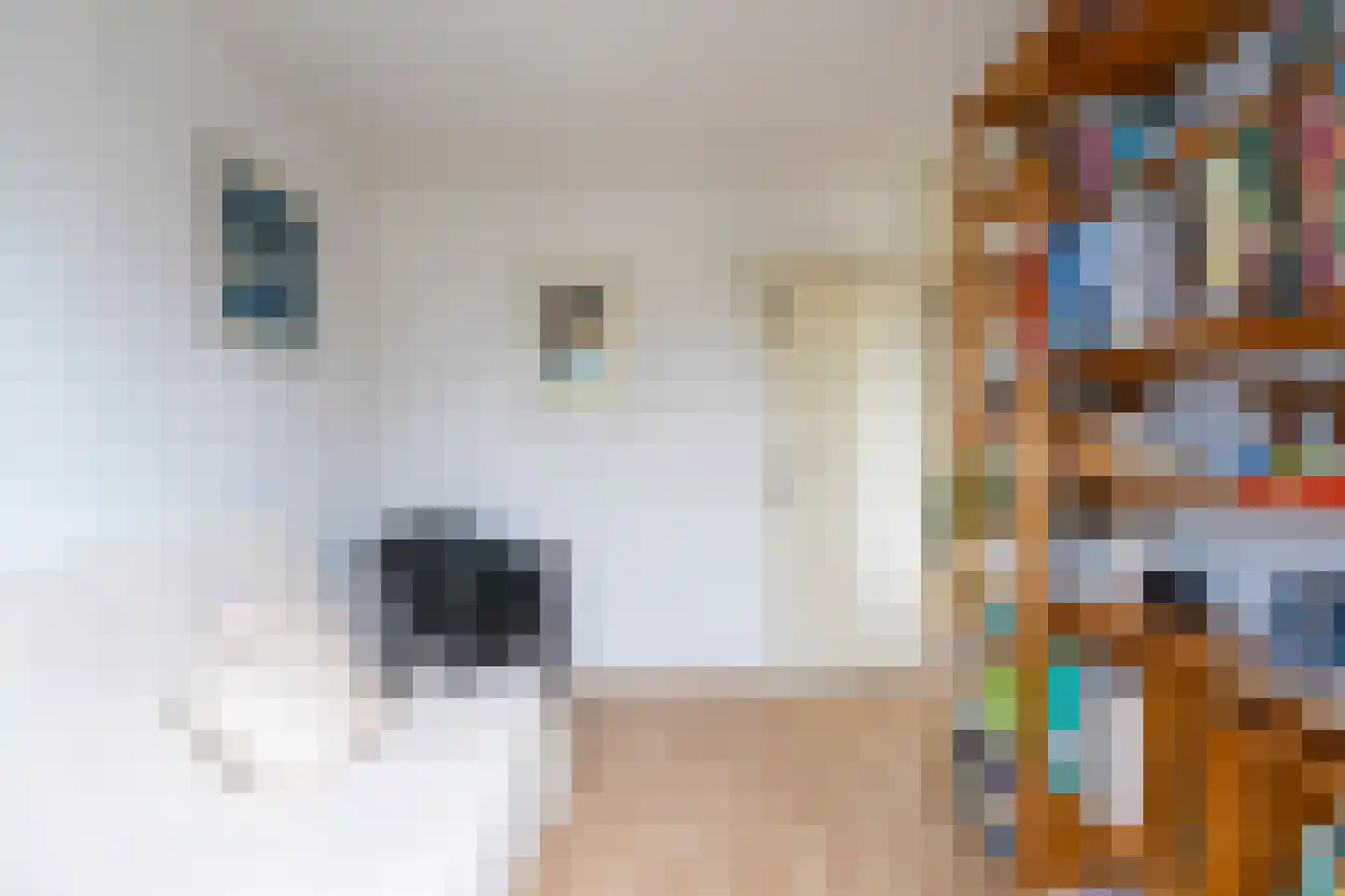 Rozemarijnhof 14 Voorhout thumbnail 30