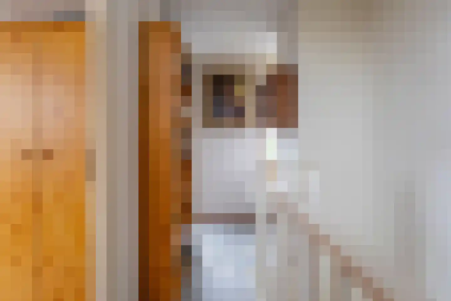 Rozemarijnhof 14 Voorhout thumbnail 34