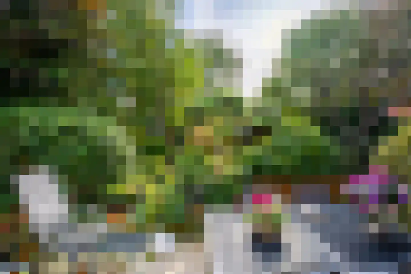 Rozemarijnhof 14 Voorhout thumbnail 37