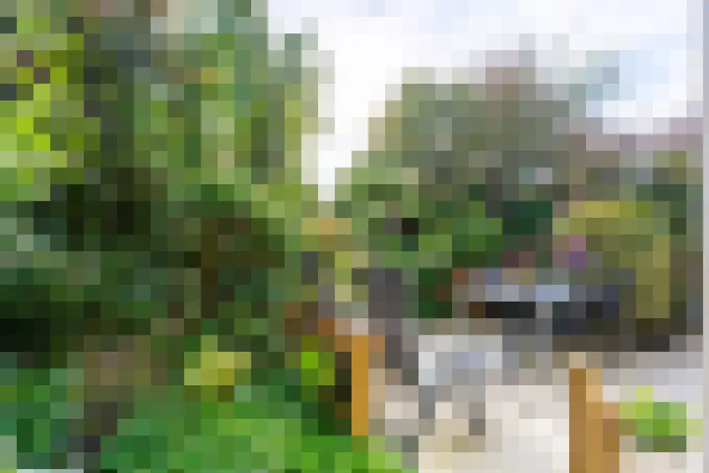 Rozemarijnhof 14 Voorhout thumbnail 38