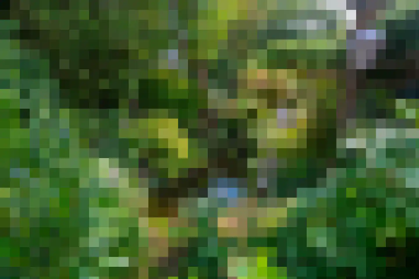 Rozemarijnhof 14 Voorhout thumbnail 39