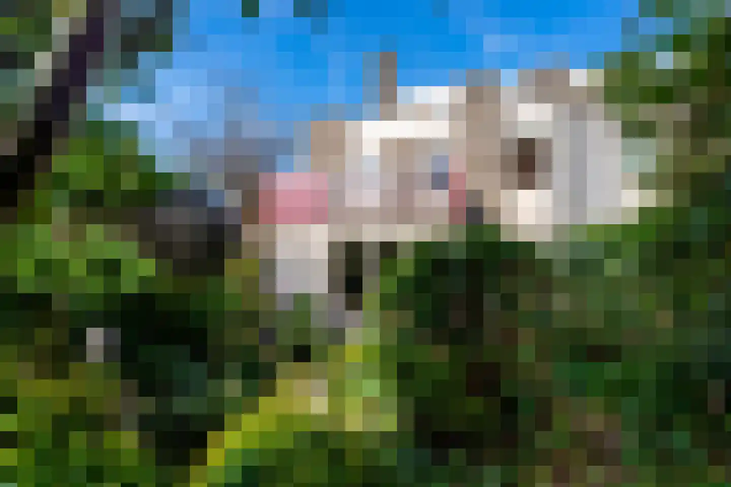 Rozemarijnhof 14 Voorhout thumbnail 40