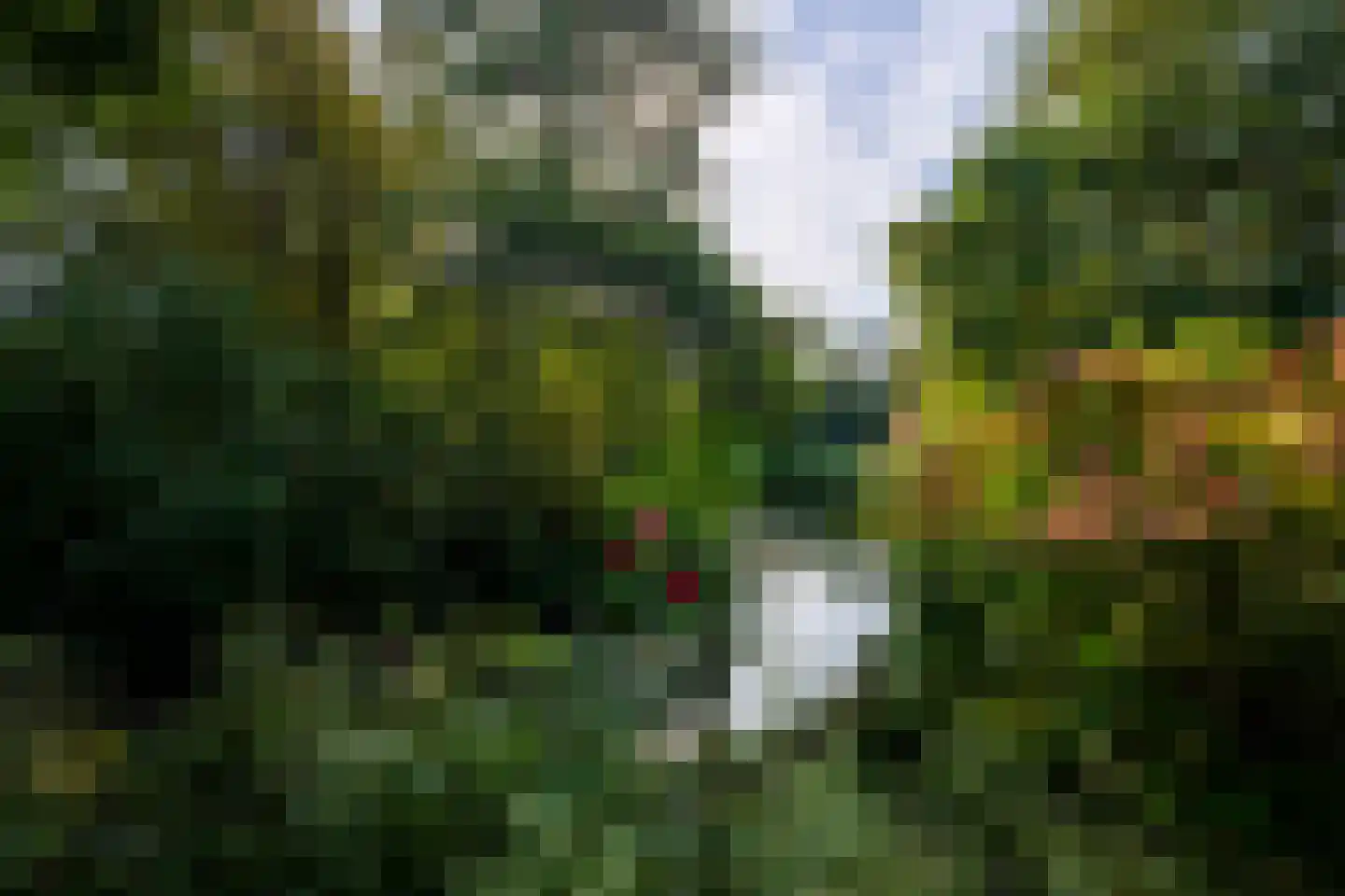 Rozemarijnhof 14 Voorhout thumbnail 41