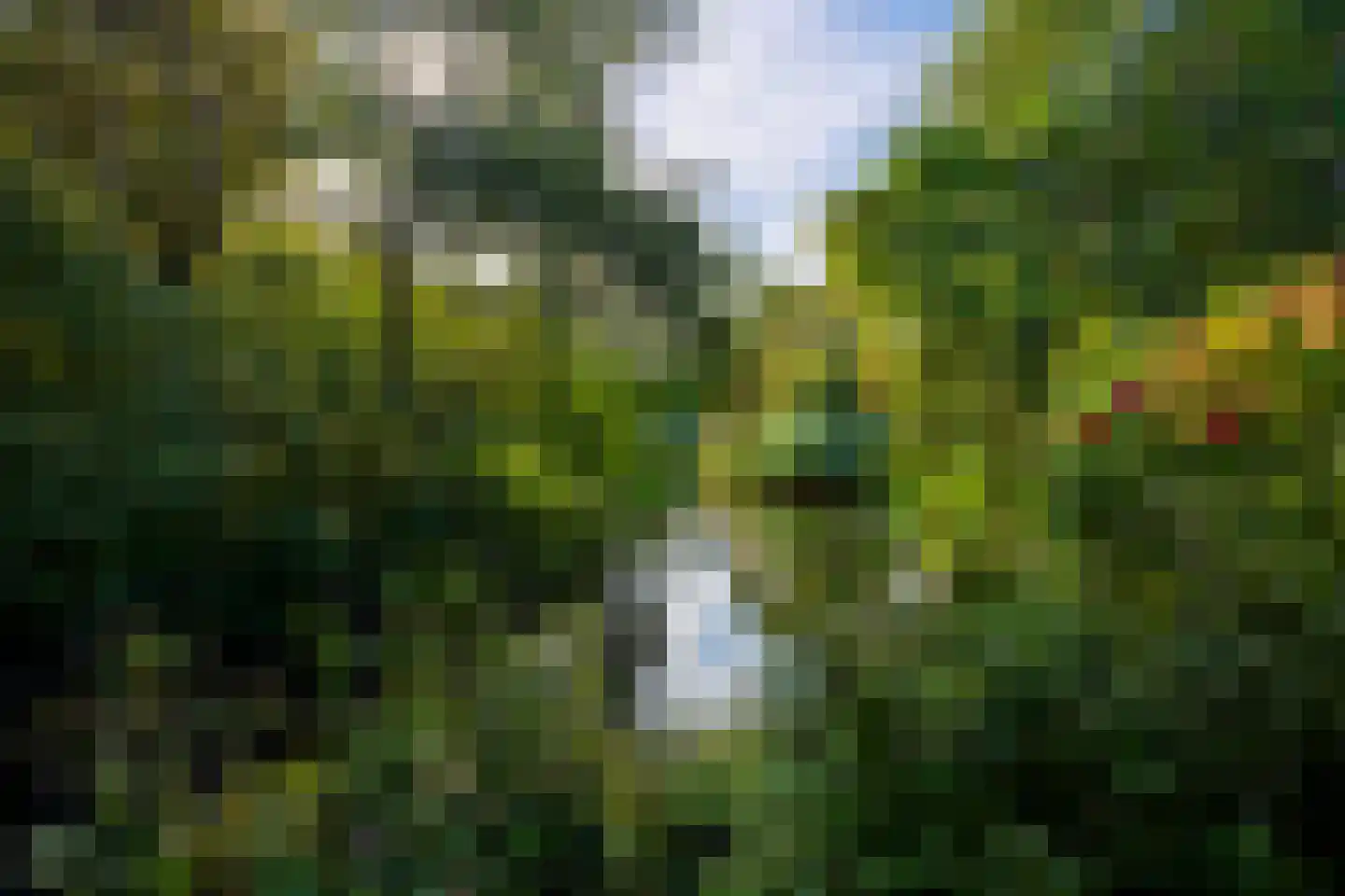 Rozemarijnhof 14 Voorhout thumbnail 42