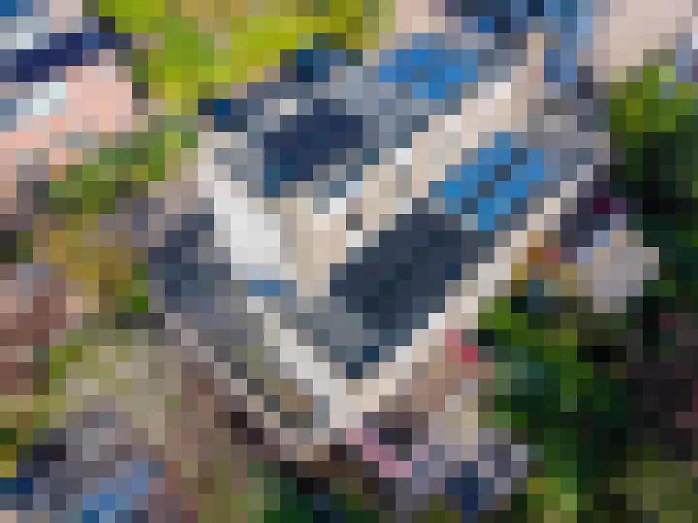 Rozemarijnhof 14 Voorhout thumbnail 43