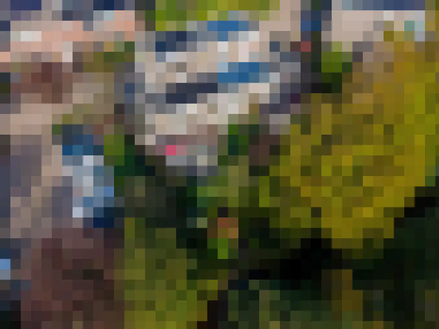 Rozemarijnhof 14 Voorhout thumbnail 44