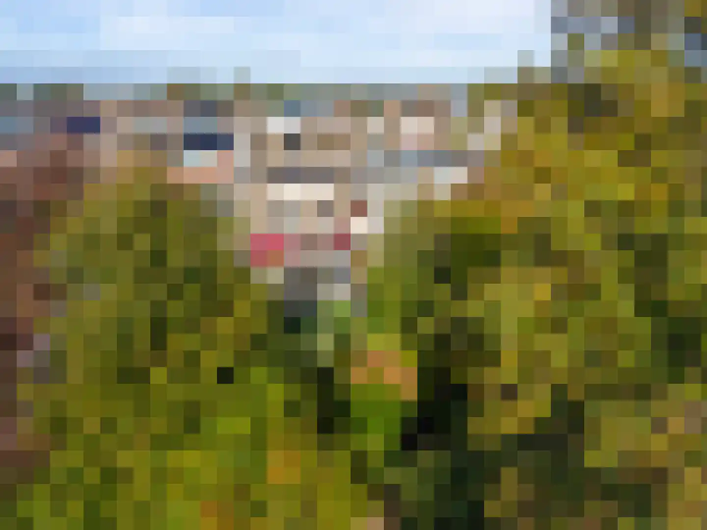 Rozemarijnhof 14 Voorhout thumbnail 45