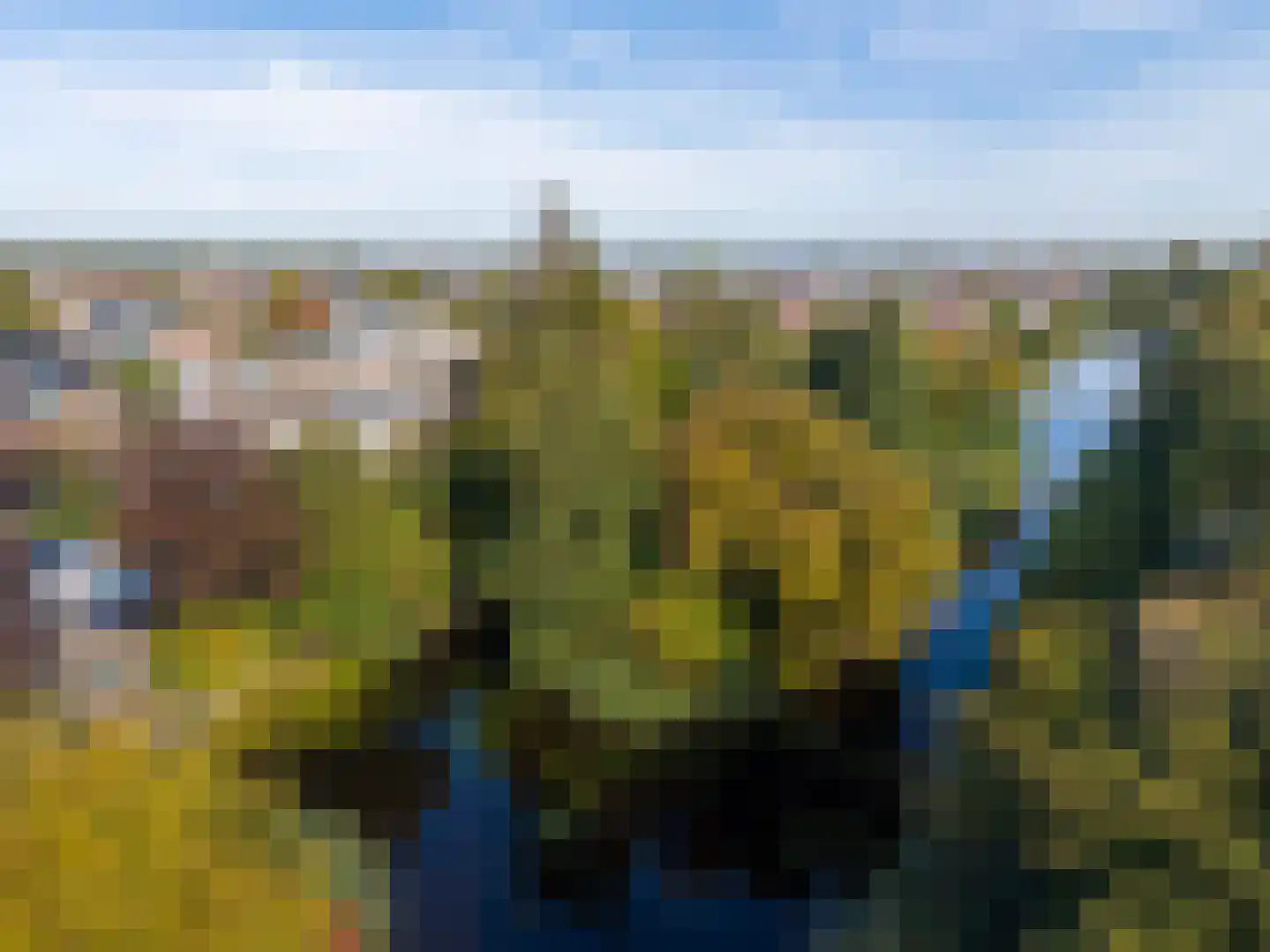 Rozemarijnhof 14 Voorhout thumbnail 46