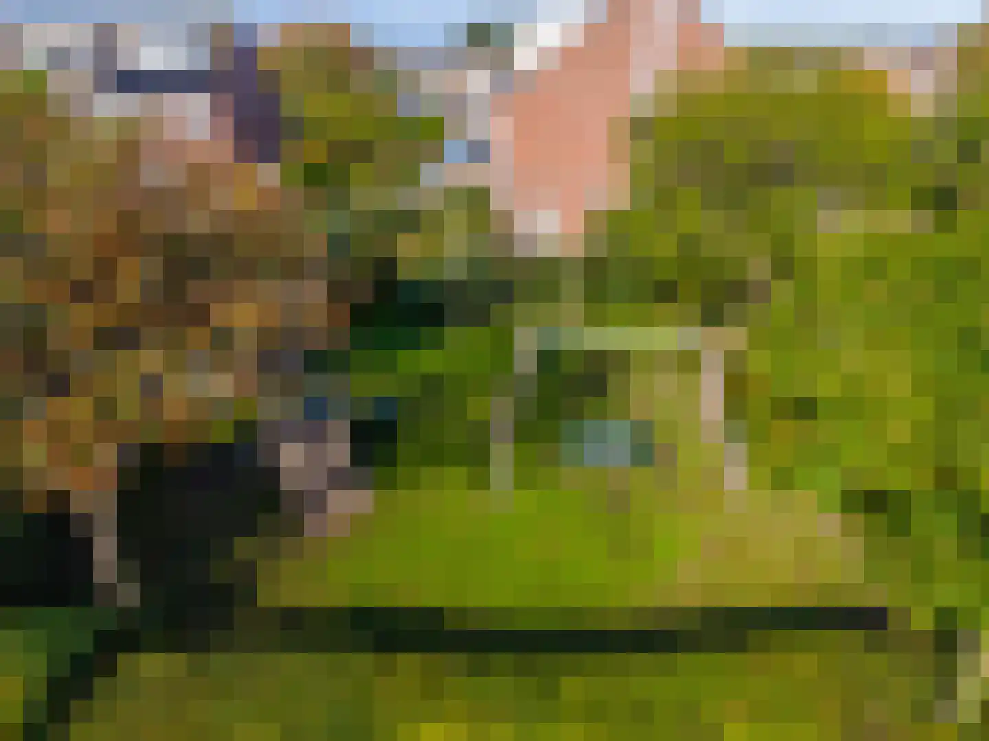 Rozemarijnhof 14 Voorhout thumbnail 51