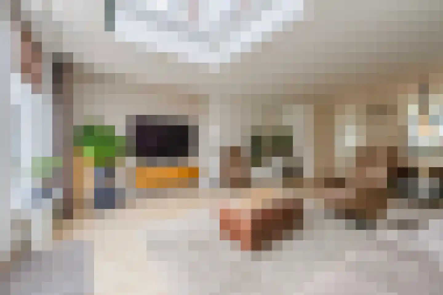 Rozemarijnhof 25 Voorhout thumbnail 13