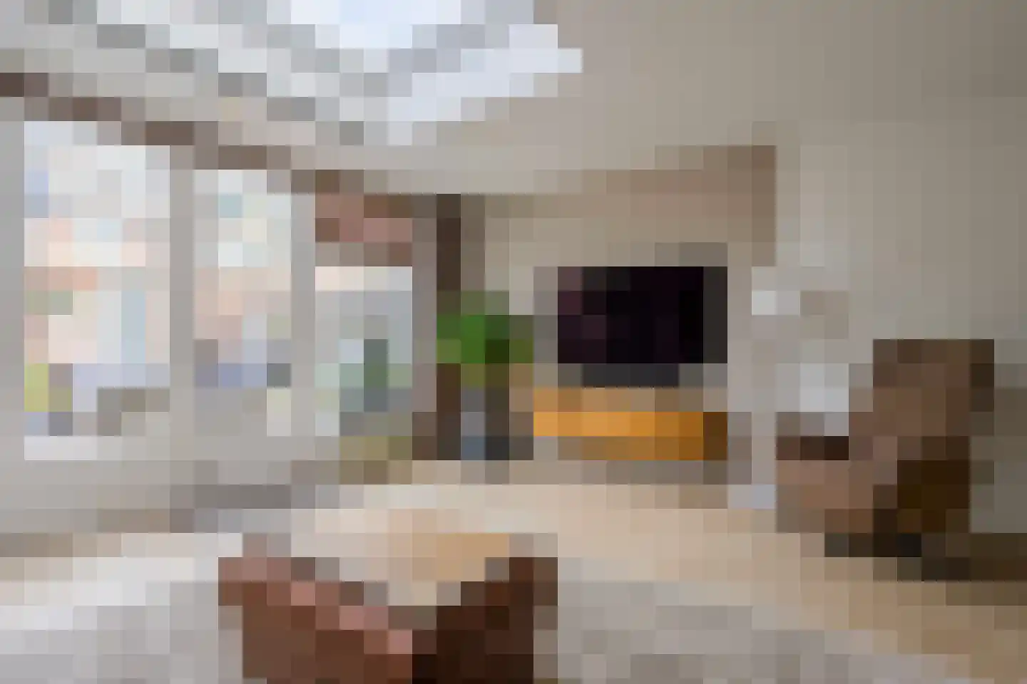 Rozemarijnhof 25 Voorhout thumbnail 14