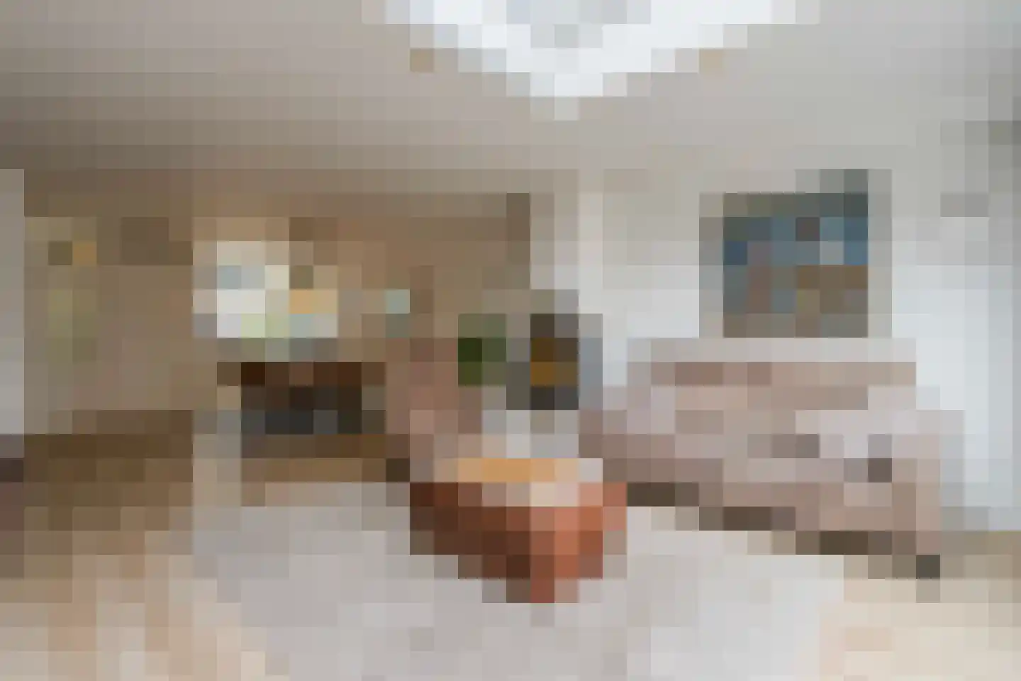 Rozemarijnhof 25 Voorhout thumbnail 16