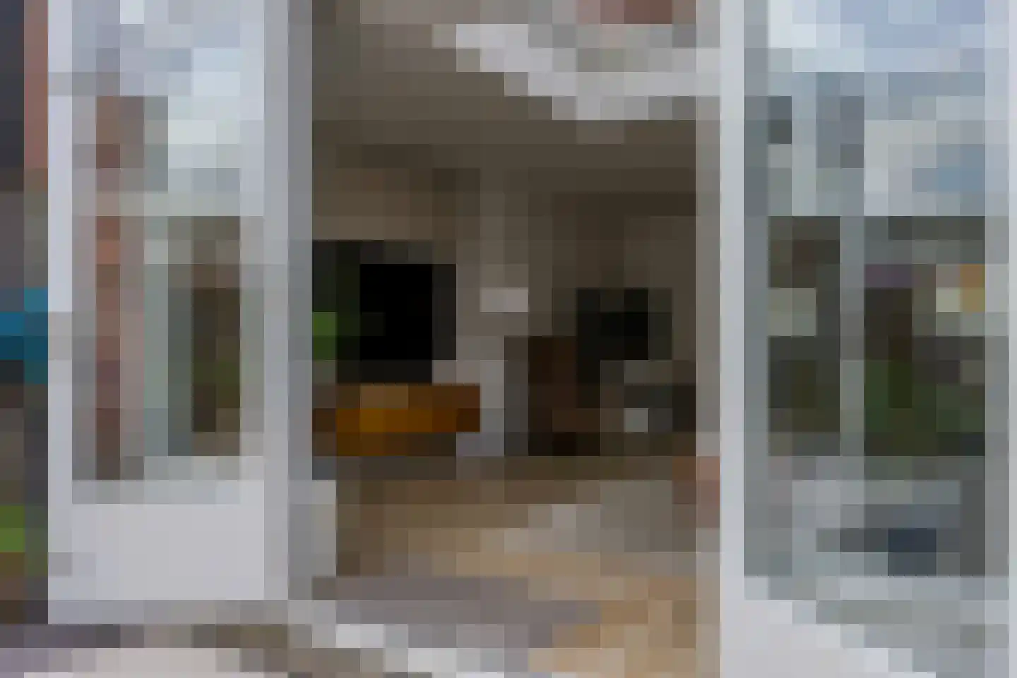 Rozemarijnhof 25 Voorhout thumbnail 26