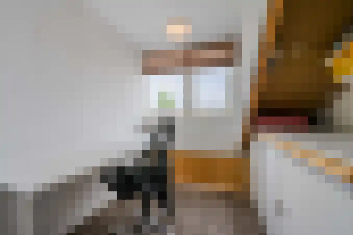 Rozemarijnhof 25 Voorhout thumbnail 47