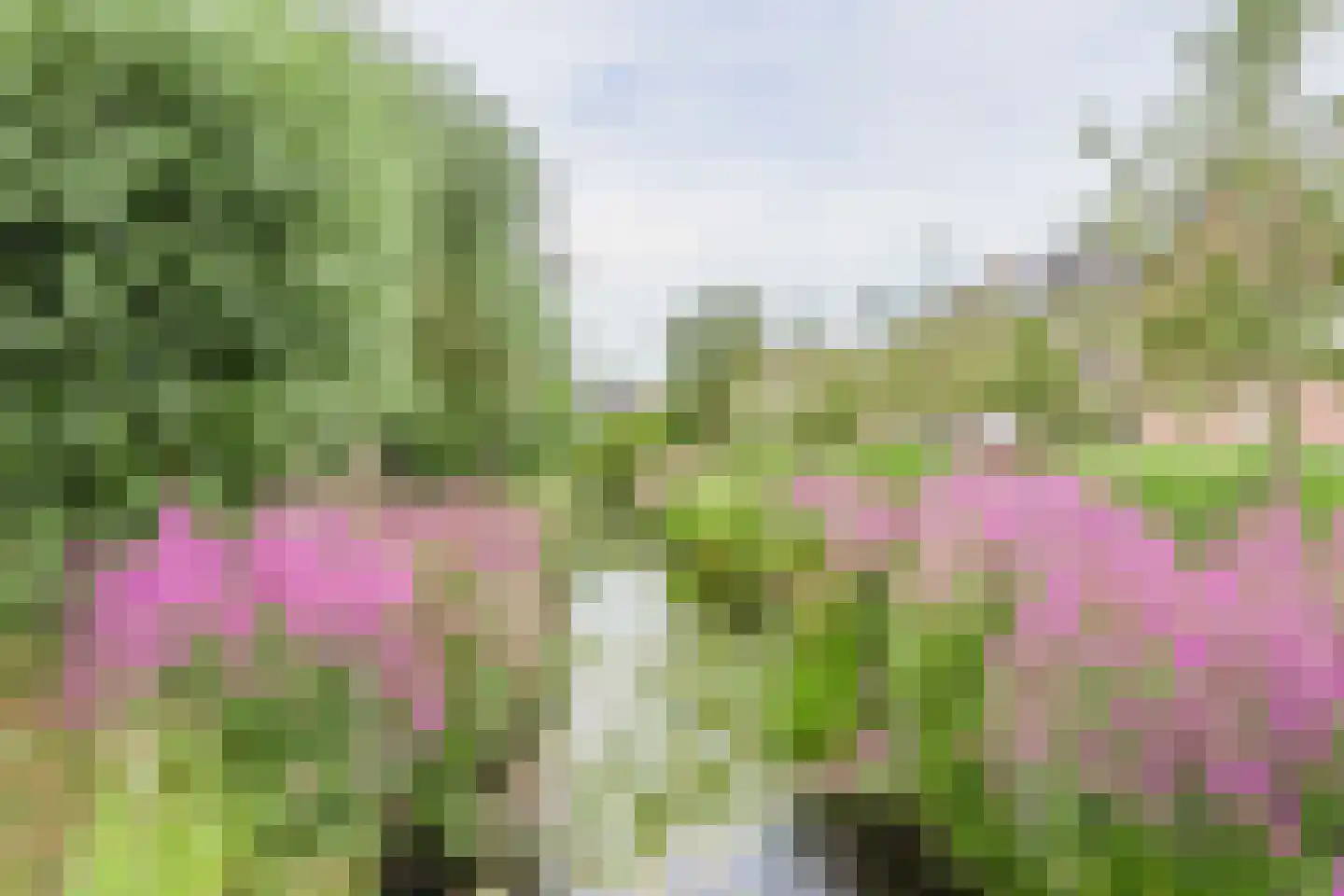 Rozemarijnhof 25 Voorhout thumbnail 52
