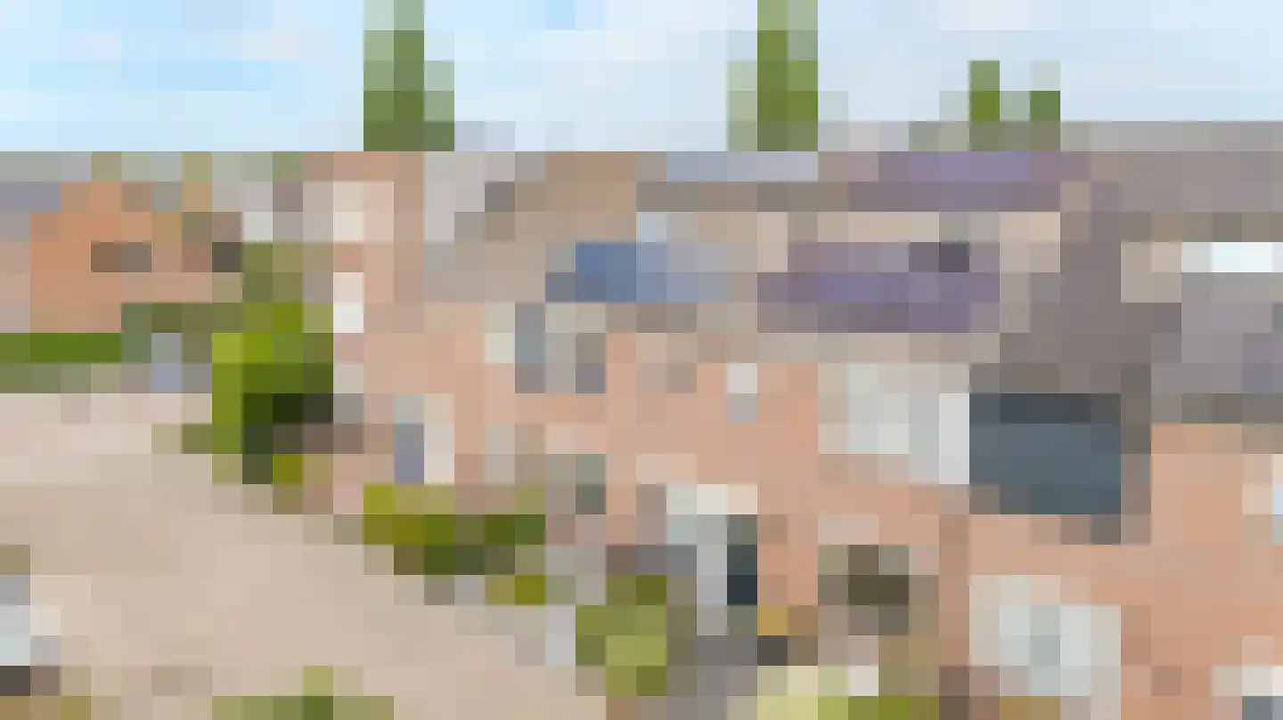 Rozemarijnhof 25 Voorhout thumbnail 6
