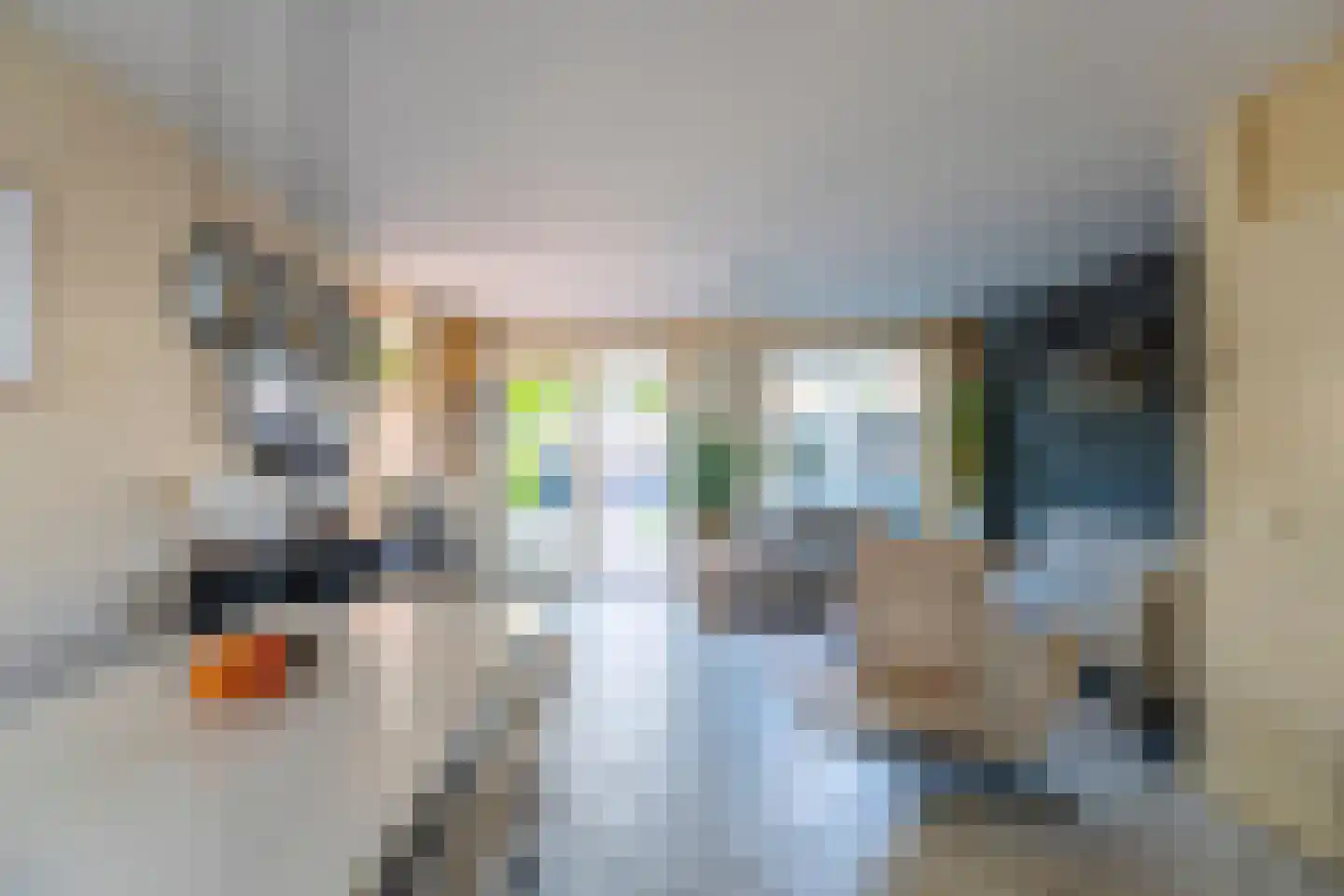Rozemarijnhof 29 Voorhout thumbnail 15