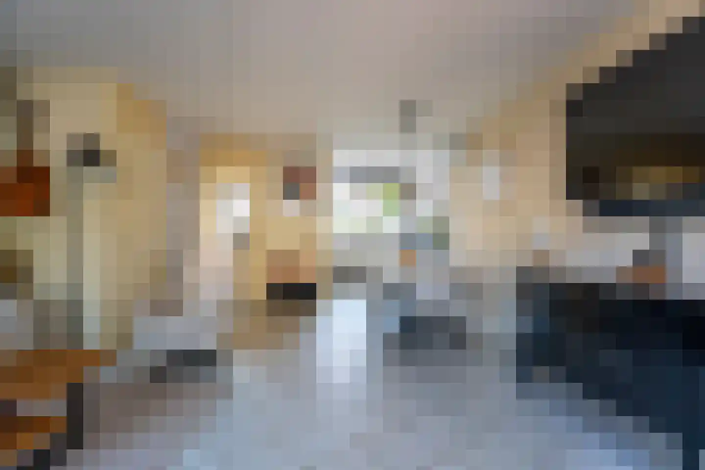 Rozemarijnhof 29 Voorhout thumbnail 17