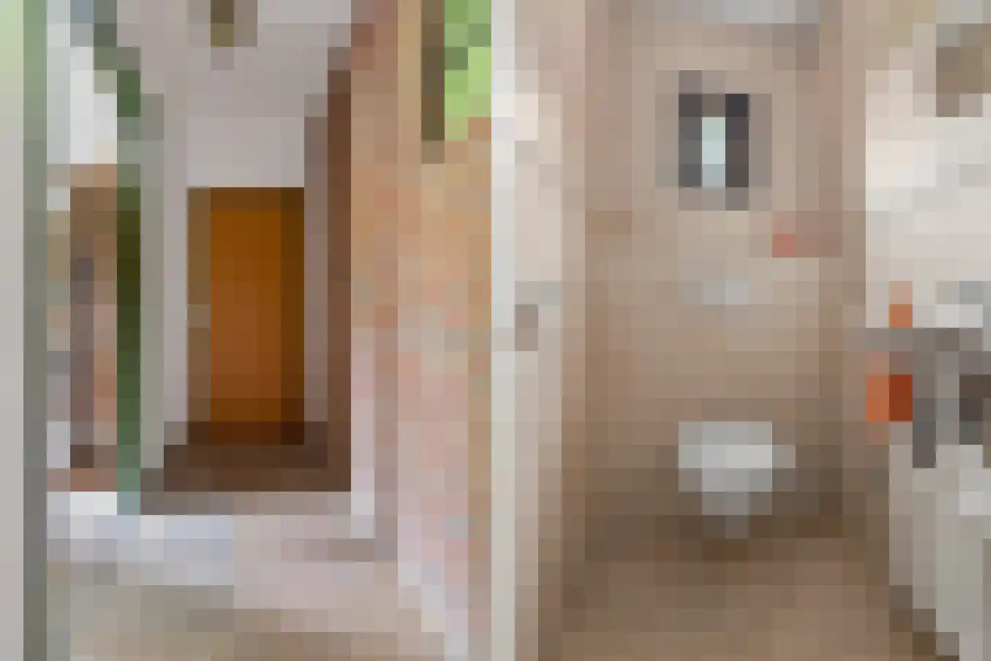 Rozemarijnhof 6 Schijndel thumbnail 30