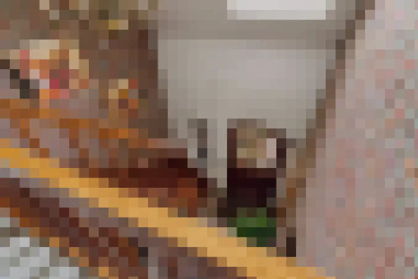 Rozemarijnhof 6 Schijndel thumbnail 32