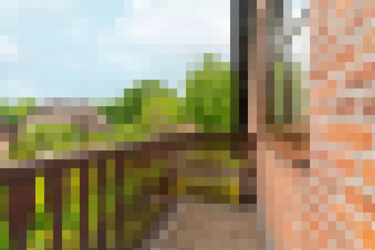 Rozemarijnhof 6 Schijndel thumbnail 36