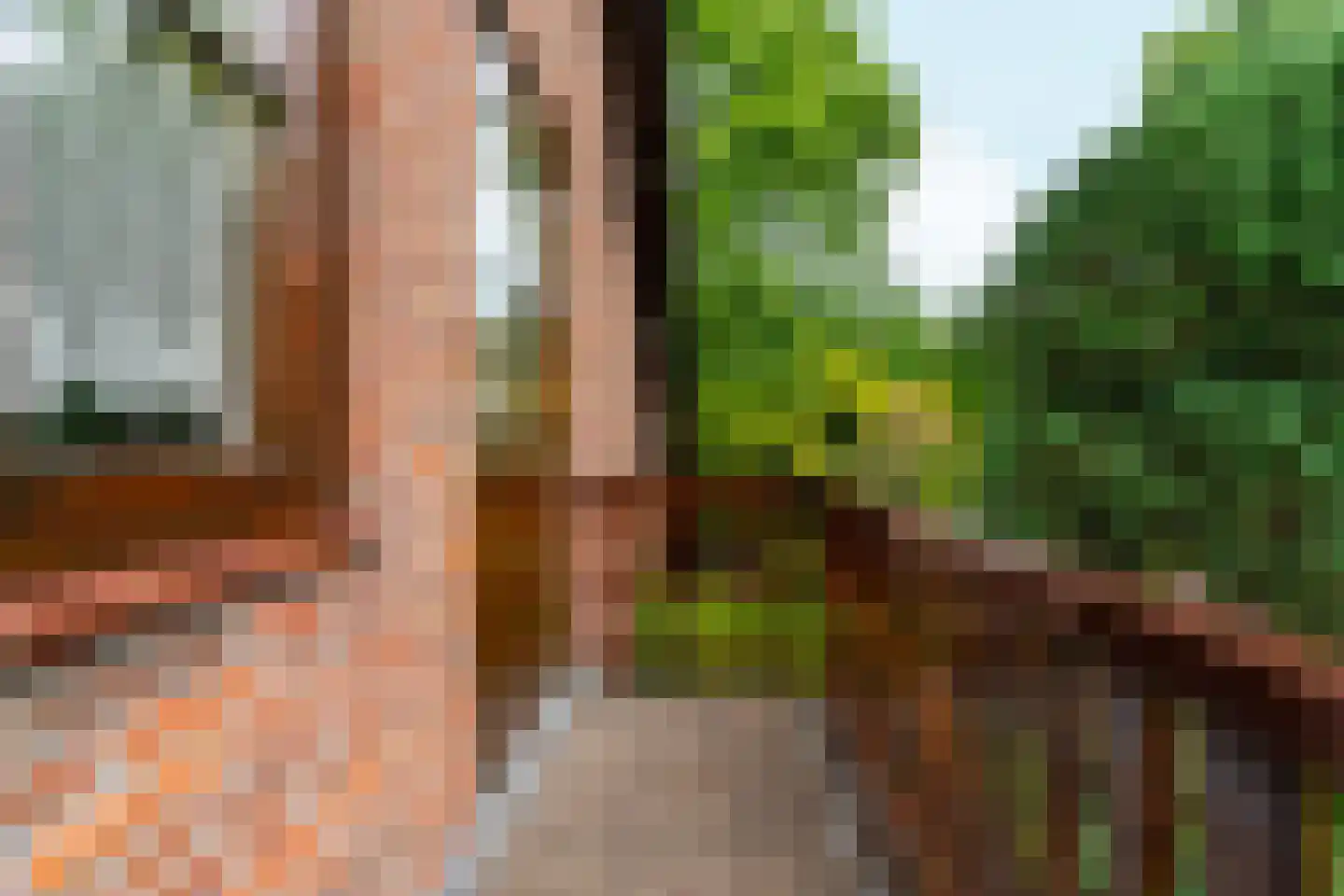 Rozemarijnhof 6 Schijndel thumbnail 37