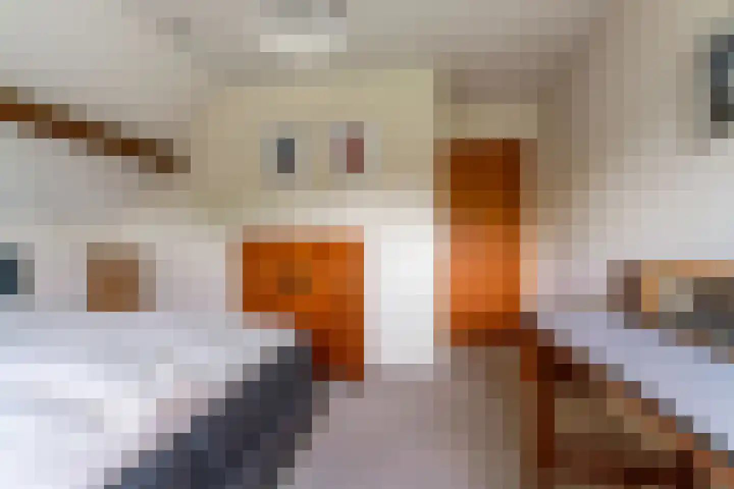 Rozemarijnhof 6 Schijndel thumbnail 47