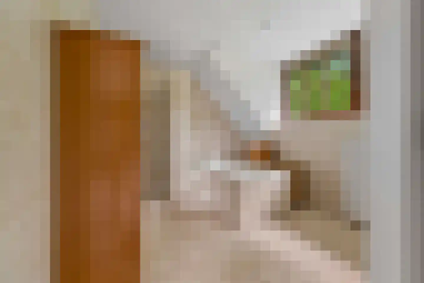 Rozemarijnhof 6 Schijndel thumbnail 48