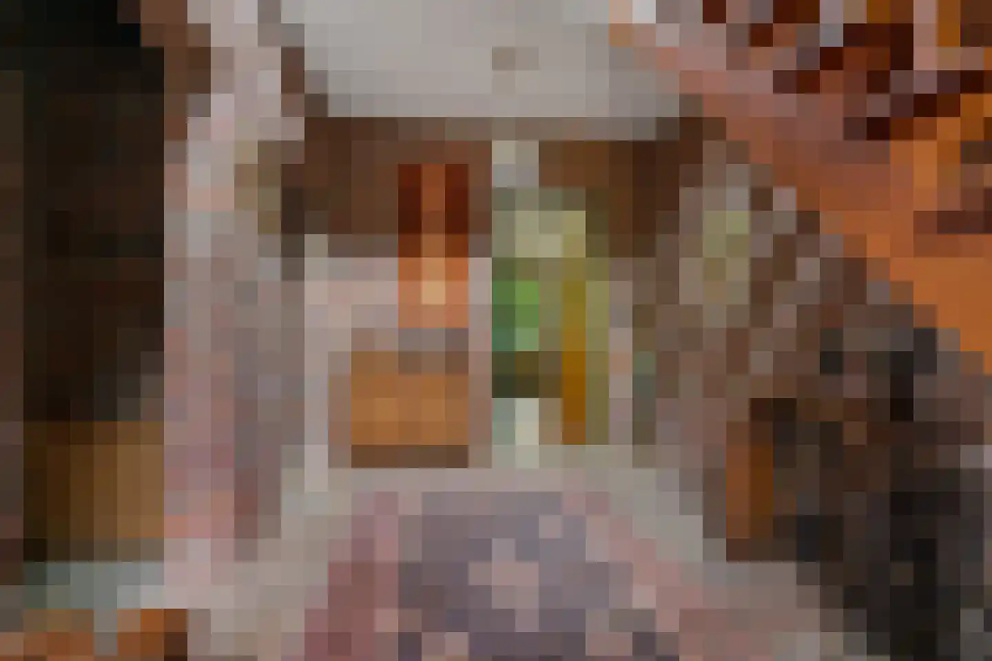 Rozemarijnhof 6 Schijndel thumbnail 5