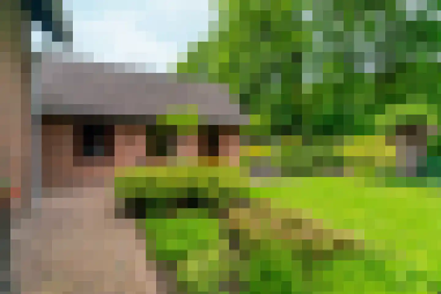 Rozemarijnhof 6 Schijndel thumbnail 57