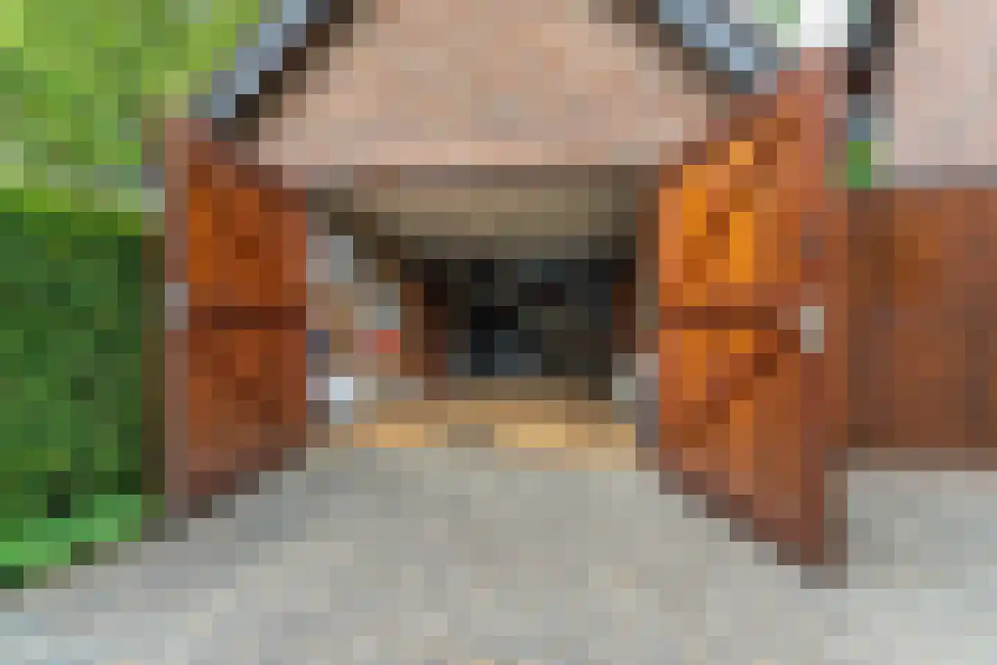 Rozemarijnhof 6 Schijndel thumbnail 58
