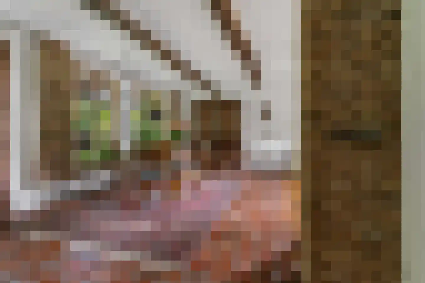 Rozemarijnhof 6 Schijndel thumbnail 6