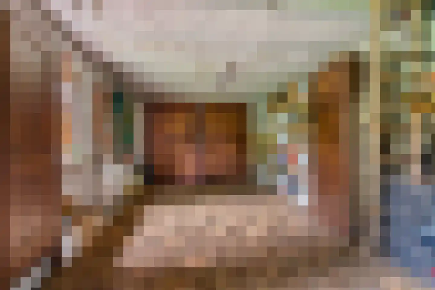 Rozemarijnhof 6 Schijndel thumbnail 60