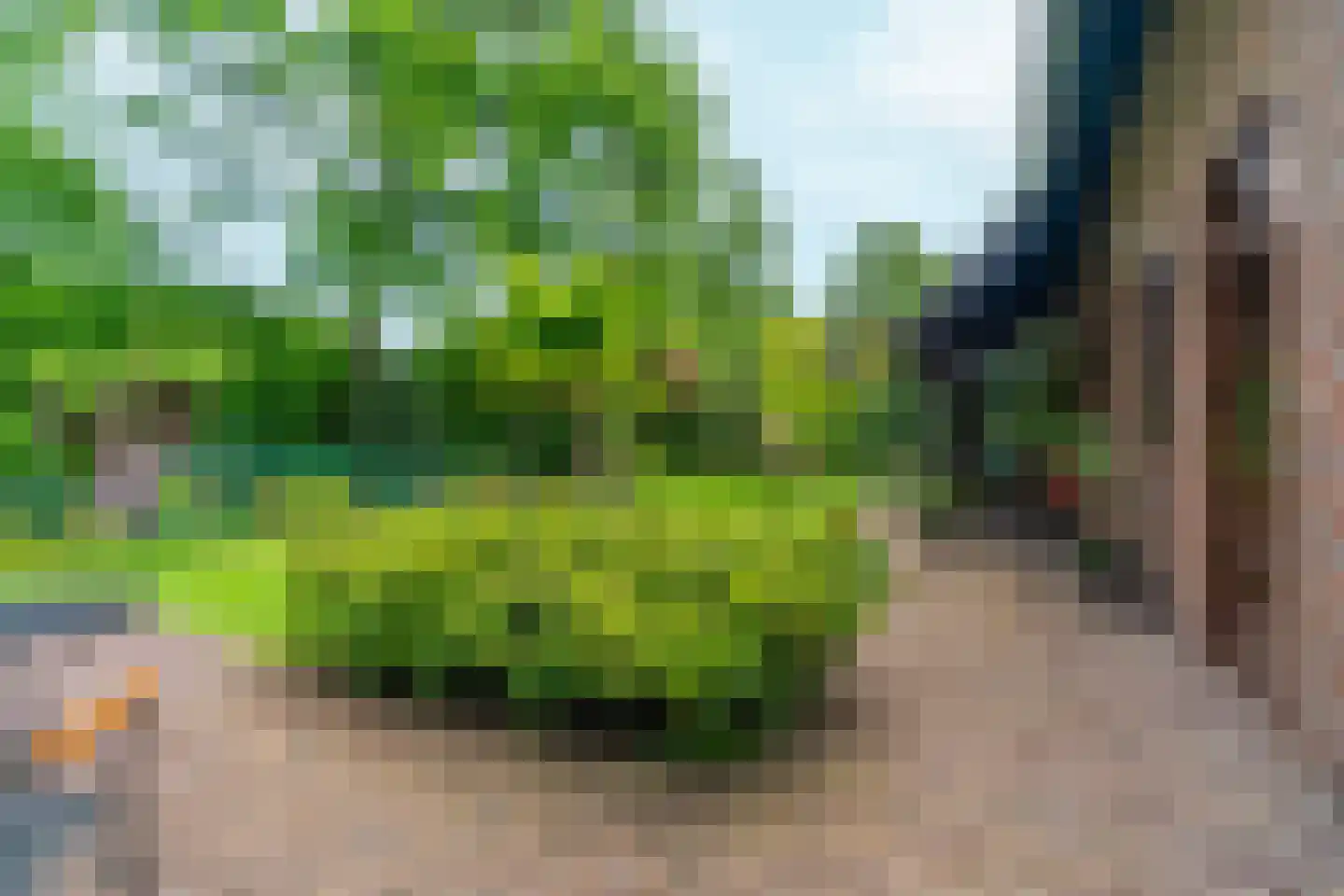 Rozemarijnhof 6 Schijndel thumbnail 61