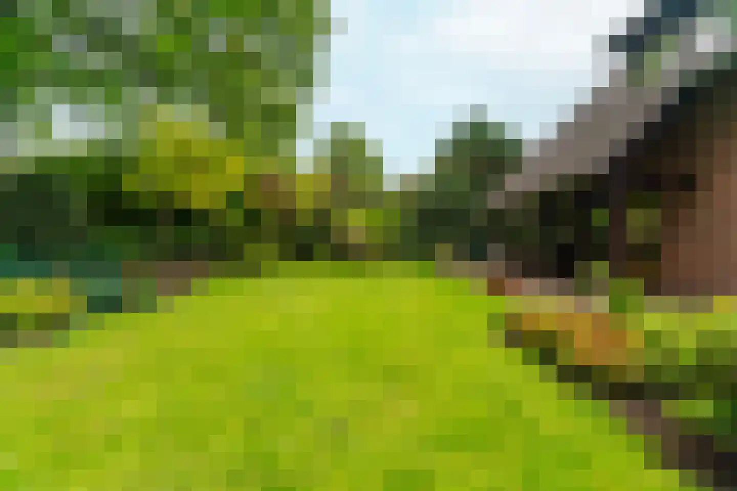 Rozemarijnhof 6 Schijndel thumbnail 63