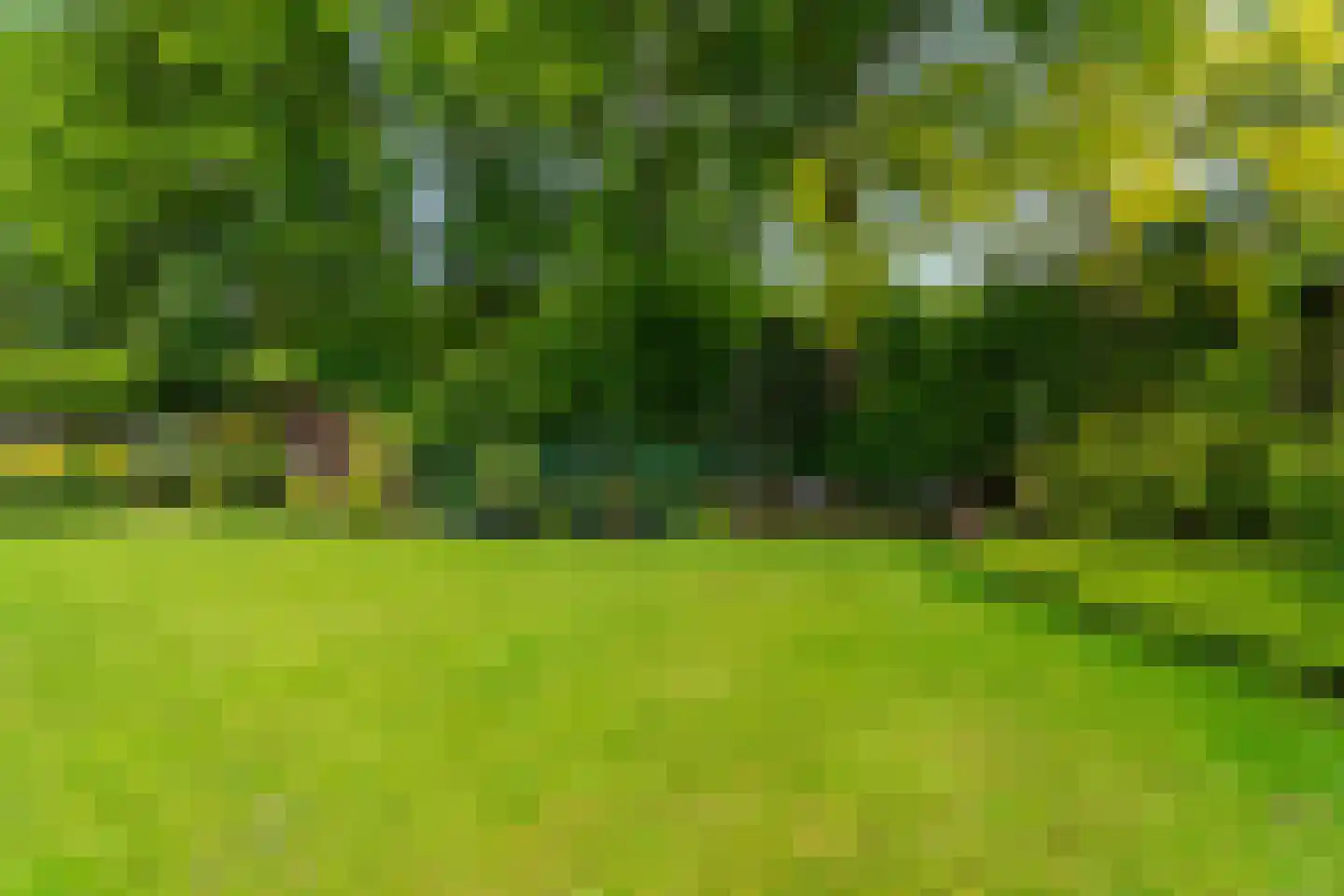Rozemarijnhof 6 Schijndel thumbnail 65
