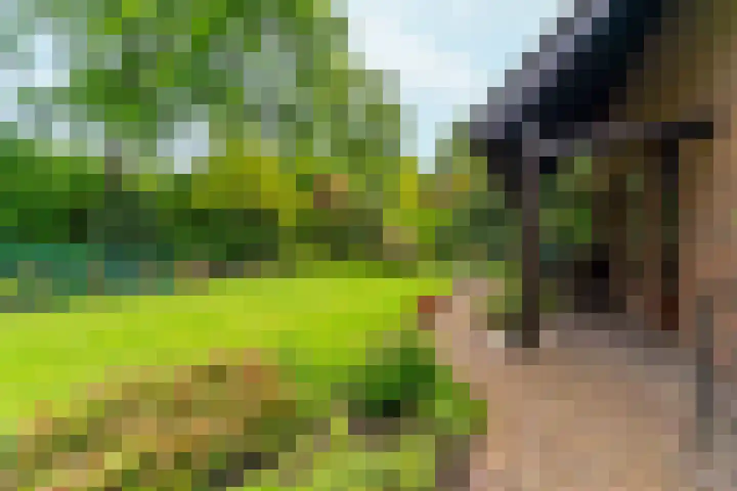 Rozemarijnhof 6 Schijndel thumbnail 69